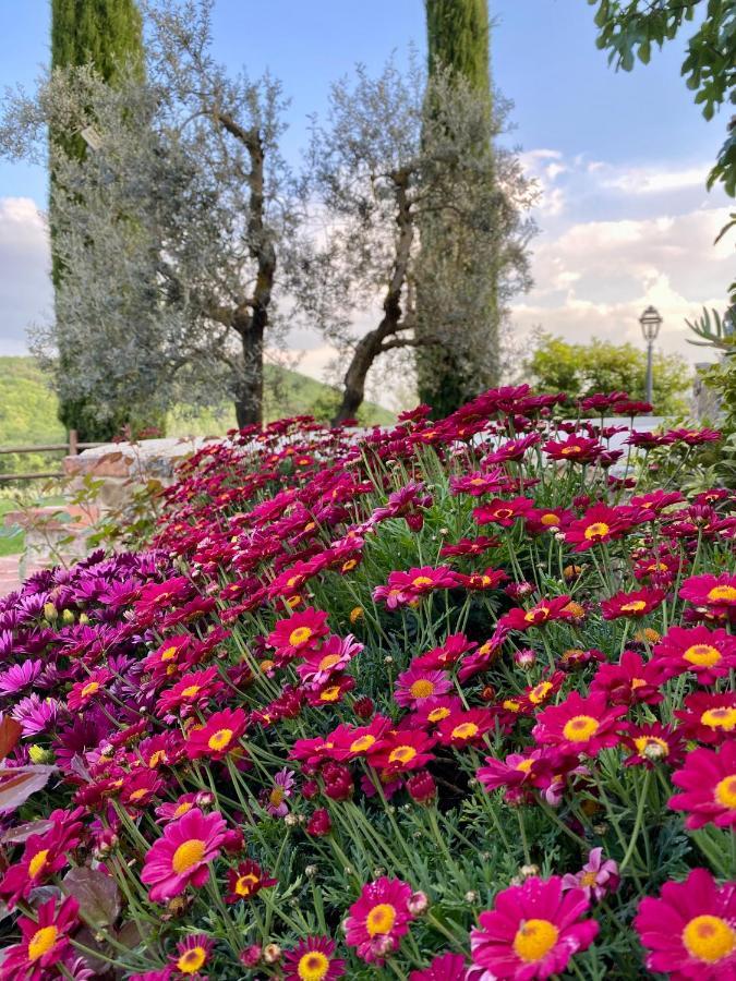 Farm stay Belagaggio *
