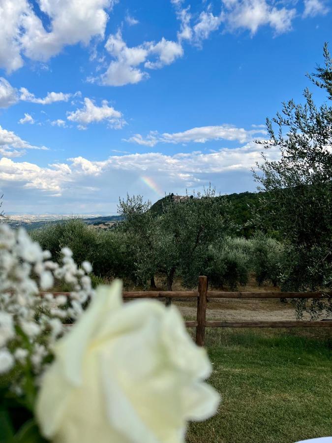 Farm stay Belagaggio *